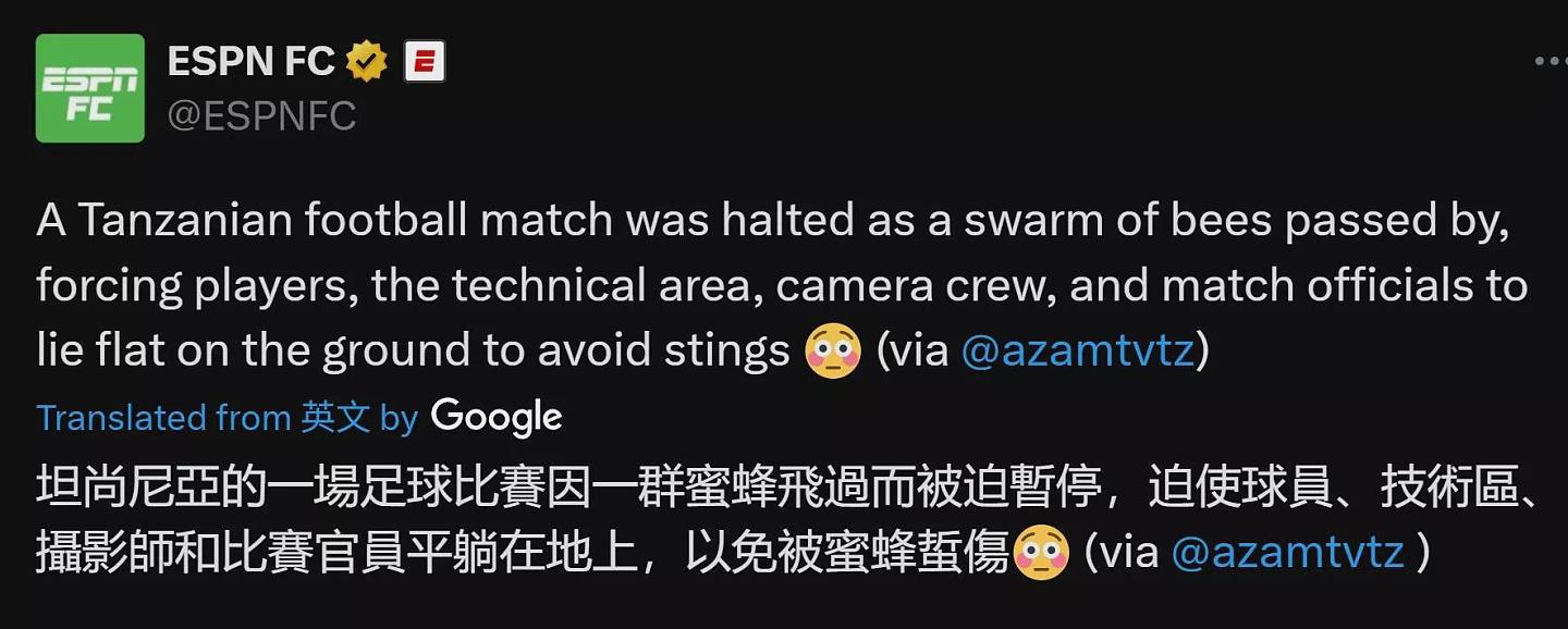 足球踢到一半,全体球员突趴地不动,原因意想不到(组图) - 2