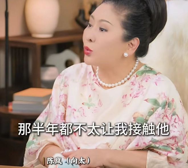 导演王晟赫疑讽刺向太蹭流量，张国荣都去世22年了，为什么要重提（组图） - 4