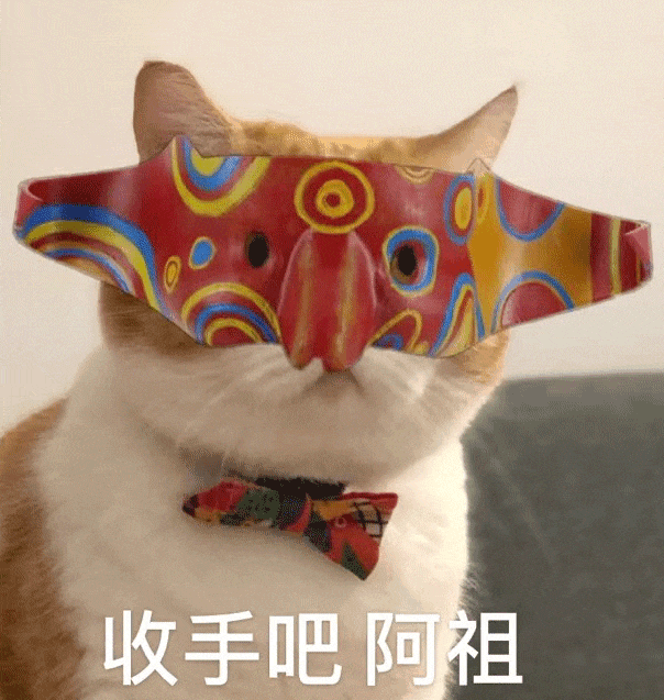 【宠物】千万不要养这种狸花猫,小心牢底坐穿!网友:光是看一眼,我都受不了啊啊啊(组图) - 27