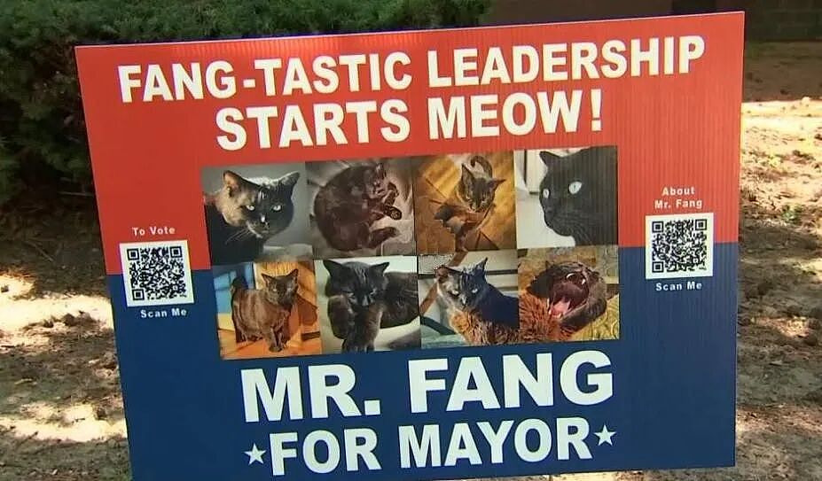 【宠物】小城选自行车道长，猫猫狗狗竞选激烈！全员自制海报，连下三滥手段都来了（组图） - 32