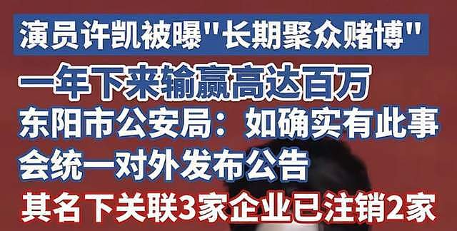 许凯告赌博名誉权翻车!许荔莎和狗仔持续嘲讽,网友呼吁等通报(组图) - 6