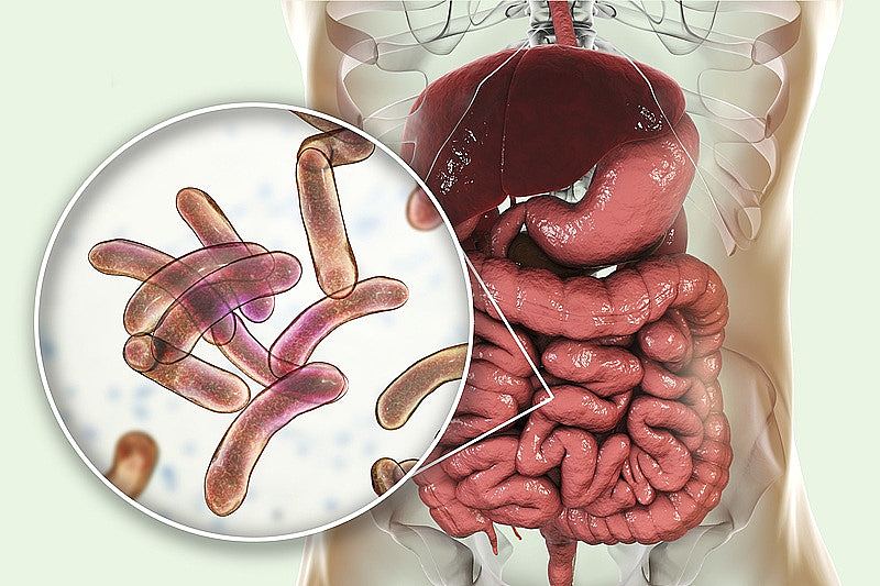 江苏南通报告1宗霍乱确诊病例，源头场所疑为农贸市场已消杀（组图） - 4