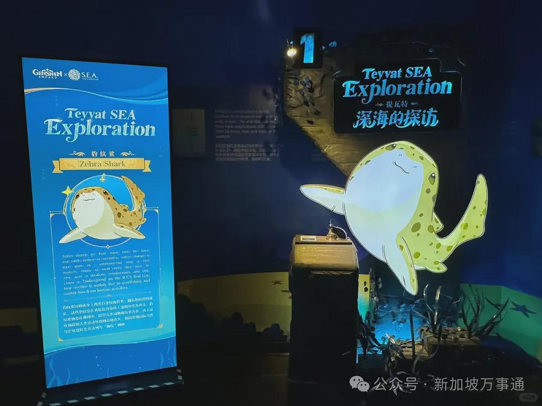 中国IP在新加坡杀疯了！1年3000家企业倒闭，一场来自东方的商业