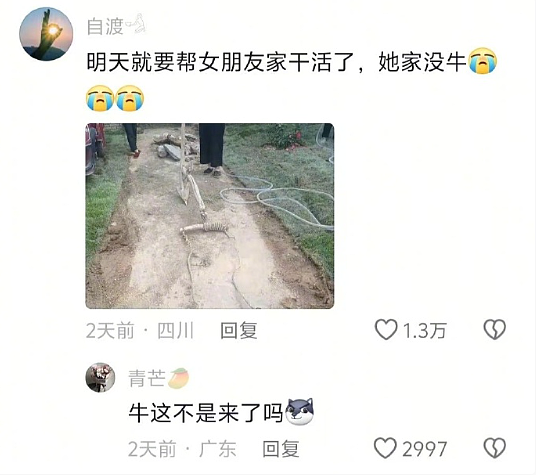 【爆笑】“这修图?男朋友拍的照?”网友:我的眼睛和智商,到底是谁先“裂开”的...(组图) - 24