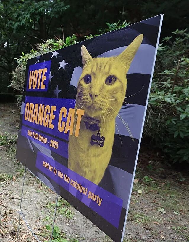 【宠物】小城选自行车道长，猫猫狗狗竞选激烈！全员自制海报，连下三滥手段都来了（组图） - 14