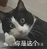 中国IP在新加坡杀疯了！1年3000家企业倒闭，一场来自东方的商业