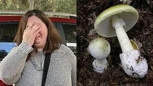 大结局！澳洲大妈被判无期，33年不得保释！震惊全球的灭门惨案，终于有了结果...（组图） - 13