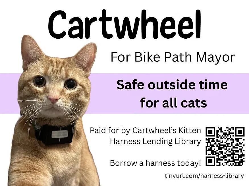 【宠物】小城选自行车道长，猫猫狗狗竞选激烈！全员自制海报，连下三滥手段都来了（组图） - 17