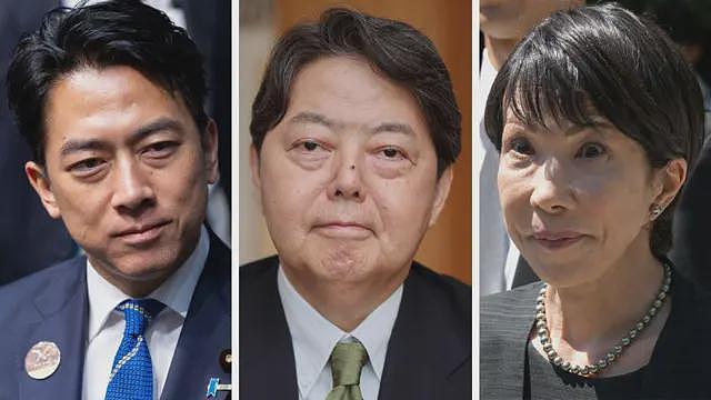 日本五年内将迎来第四位首相——下一位会是谁？（组图） - 3