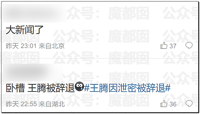 热搜爆一！小米深夜紧急开除王腾！绿厂高管离职，惊人内幕（组图） - 8