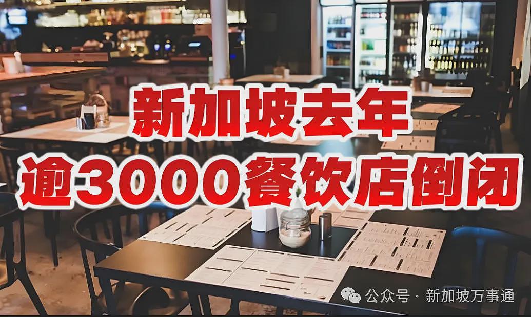 中国IP在新加坡杀疯了！1年3000家企业倒闭，一场来自东方的商业