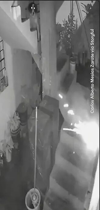 记者家被人扔炸弹！大胆狗子生生嚼灭引线！ 把全家救了...（组图） - 5