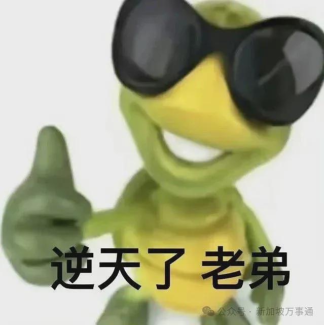 中国IP在新加坡杀疯了！1年3000家企业倒闭，一场来自东方的商业