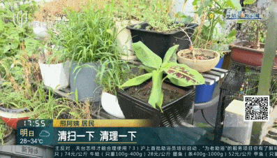 女子崩溃！男邻居楼道内一丝不挂，猛砸自家门…（组图） - 5