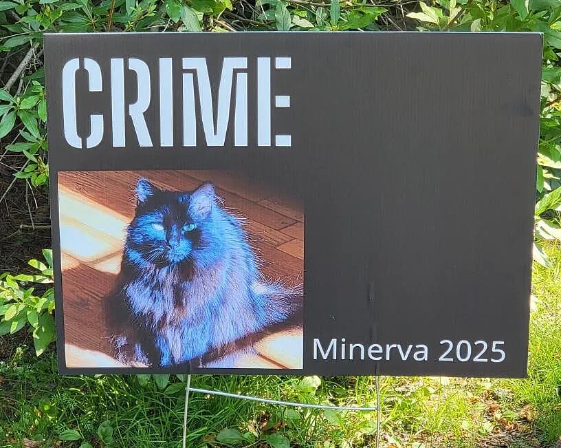 【宠物】小城选自行车道长，猫猫狗狗竞选激烈！全员自制海报，连下三滥手段都来了（组图） - 16