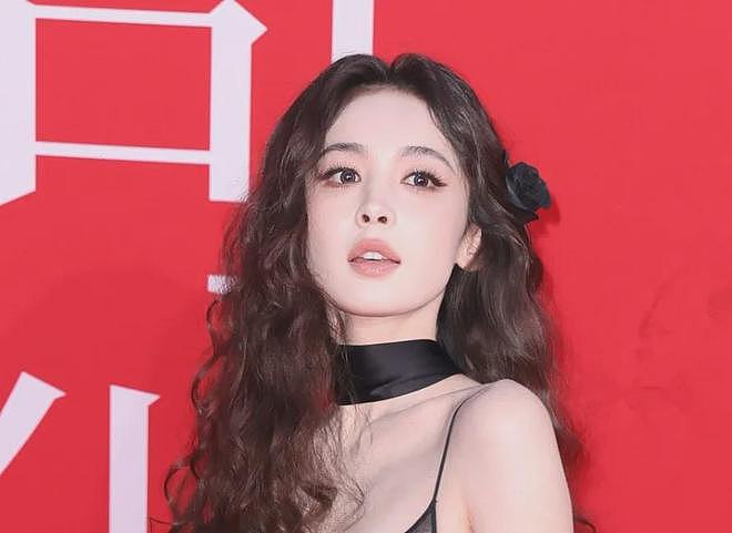 红毯上40+女星状态，有姐弟恋有单亲妈妈，过得好不好写在脸上（组图） - 23