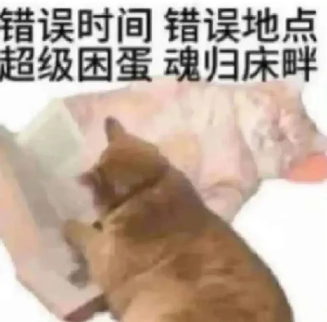 为什么在沙发上睡着很容易,在床上睡着很难(组图) - 3