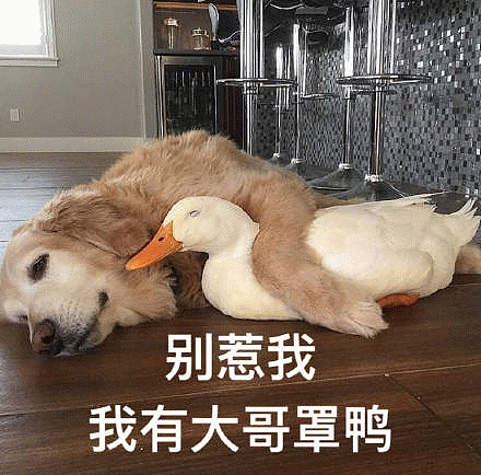 日本推“凶狠大哥租赁服务”？1000/次帮镇场子摆平棘手问题：谁欺负你咱一句话（组图） - 6