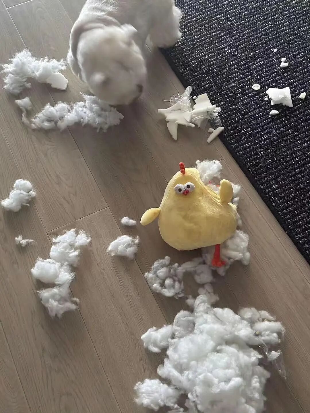【爆笑】同事在群里要求我请大家喝奶茶…？哈哈哈每天一个职场心眼子get（组图） - 11
