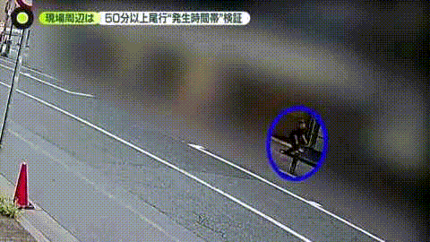 日本24岁年轻女子惨死家门口!凶手尾随3天被监控拍到50次,杀人动机竟是“一见钟情”(组图) - 13