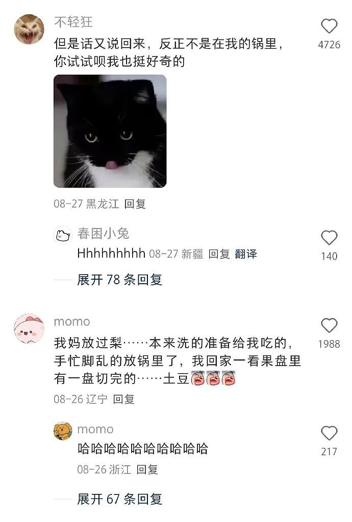 【爆笑】LV这个2.6w的包包是认真的吗?网友迷惑:是我不懂奢侈品(组图) - 31
