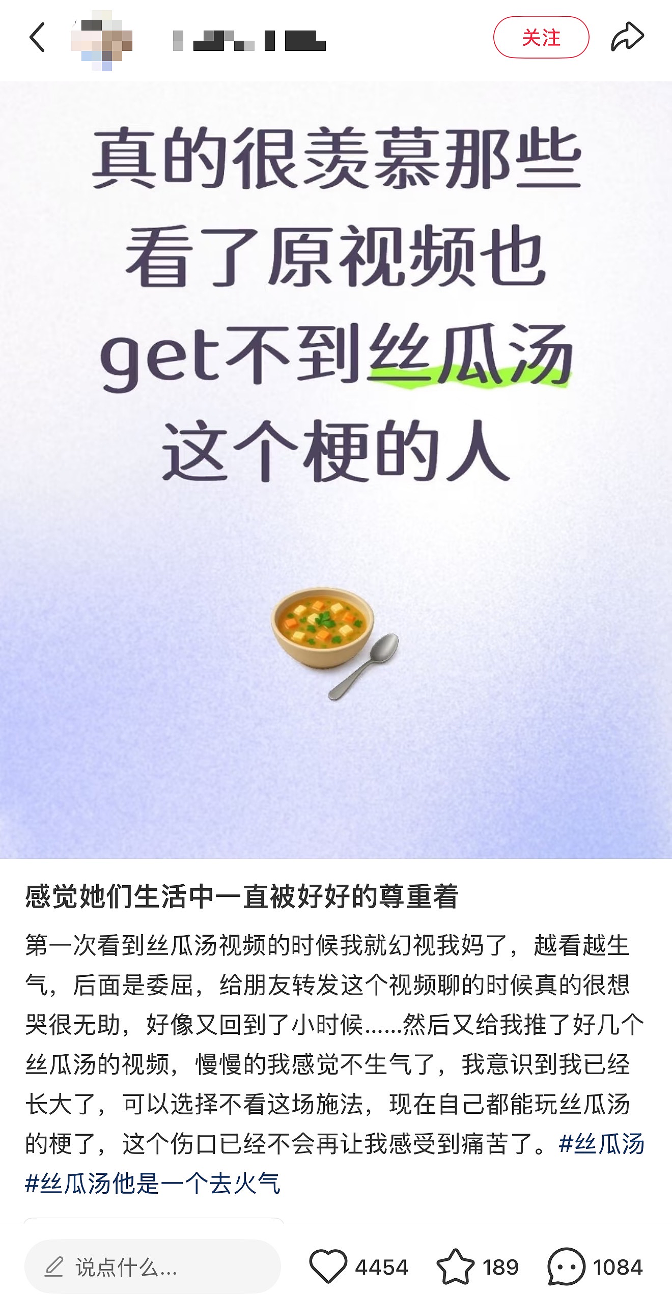 年度网络爆梗，为什么是一碗丝瓜汤（组图） - 9