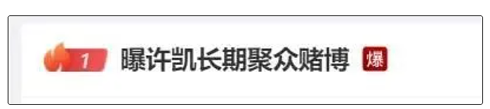 警方称已关注后，许凯否认涉赌，他若塌房，于正是不是要血亏了（组图） - 1