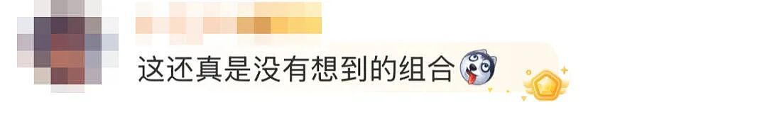 终于官宣！最意想不到的组合（组图） - 16