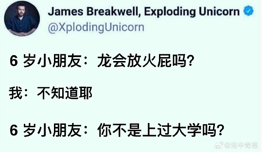 【爆笑】LV这个2.6w的包包是认真的吗?网友迷惑:是我不懂奢侈品(组图) - 38