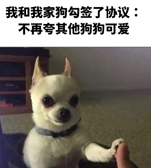 【爆笑】LV这个2.6w的包包是认真的吗?网友迷惑:是我不懂奢侈品(组图) - 40