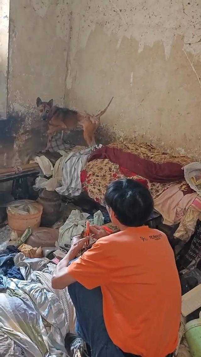 重庆版“忠犬八公”:独居老人去世多日,小狗守在家中不肯离去(组图) - 1