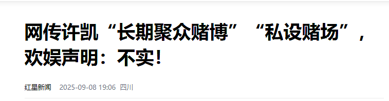 警方称已关注后，许凯否认涉赌，他若塌房，于正是不是要血亏了（组图） - 6