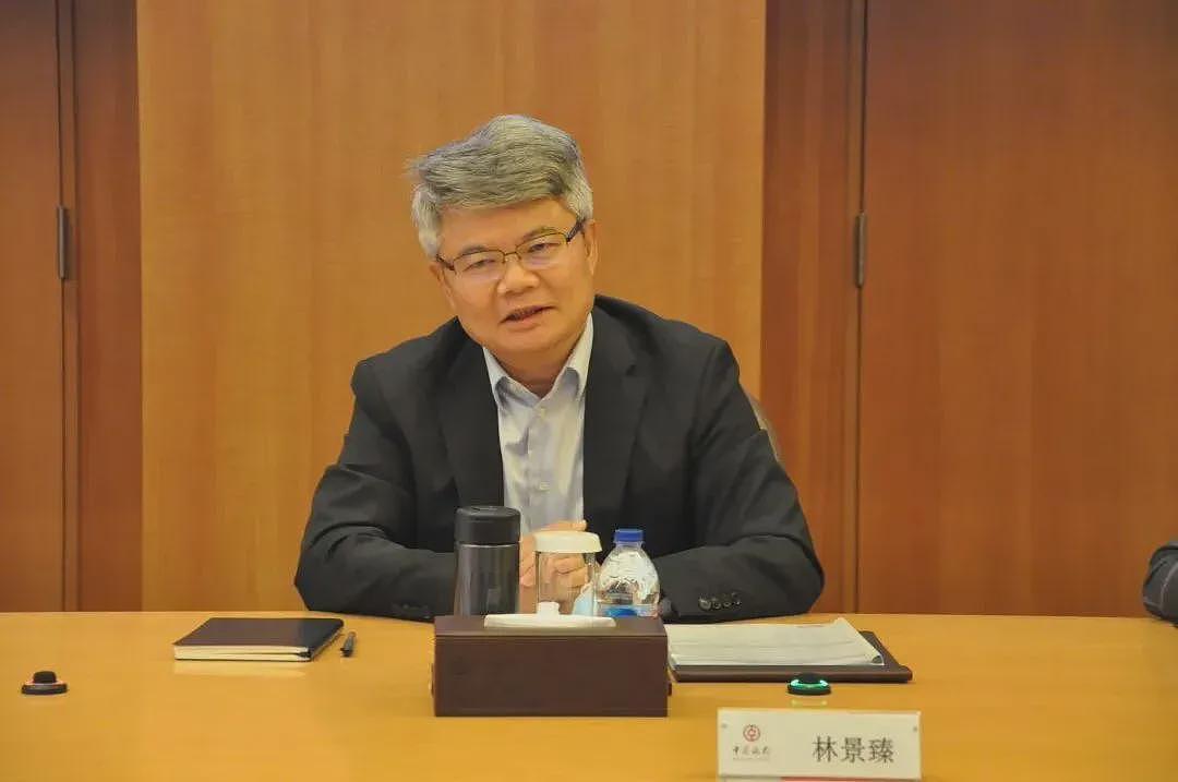 靴子落地!“老虎”林景臻被查,今年因年龄辞职(图) - 1