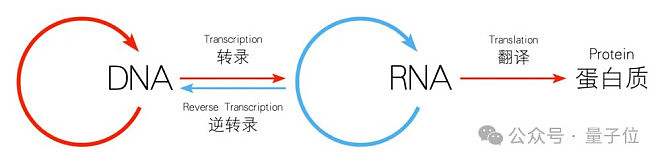 37岁就获诺奖，爱妻是华裔！医学界传奇大佬去世（组图） - 2