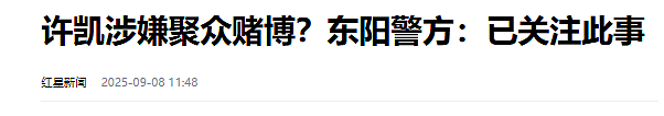 警方称已关注后，许凯否认涉赌，他若塌房，于正是不是要血亏了（组图） - 2