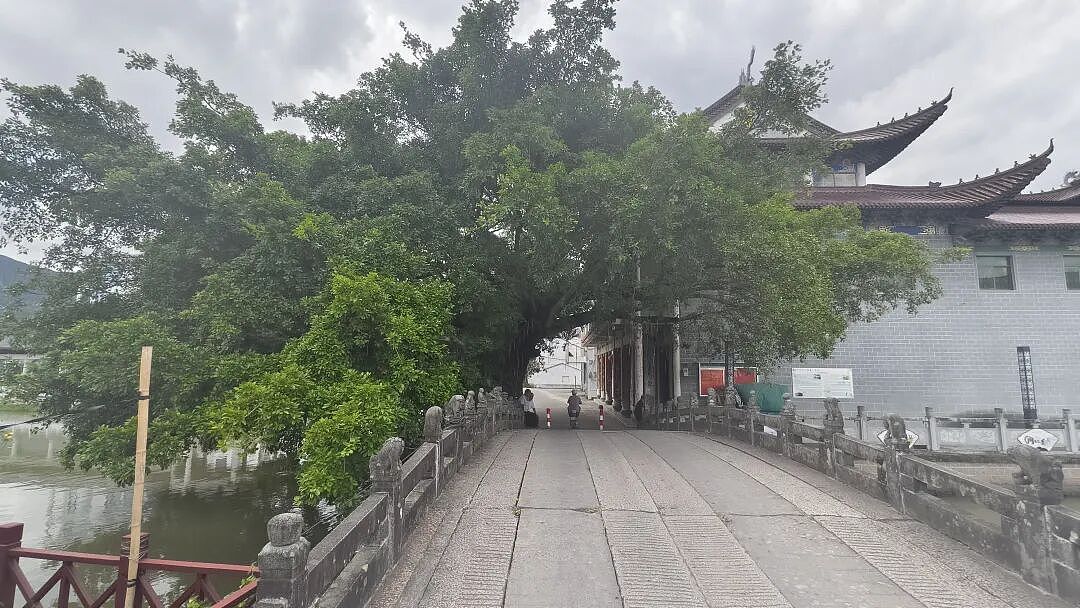 多次生子后，28岁农村智障女孩悄然离世（组图） - 5