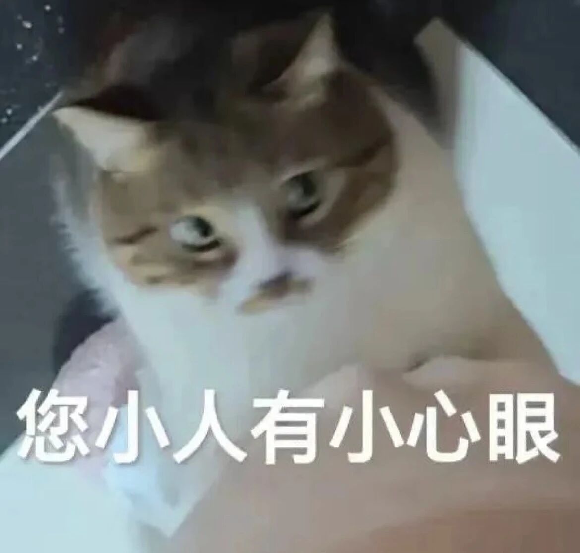 【爆笑】同事在群里要求我请大家喝奶茶…？哈哈哈每天一个职场心眼子get（组图） - 2