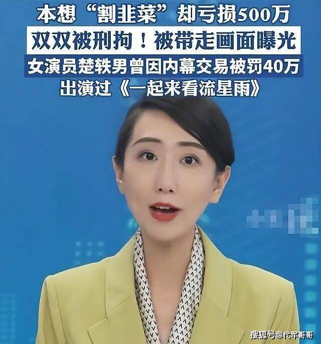 知名女演员因内幕交易被刑拘!亏损500万仍将获刑,案件细节披露(组图) - 7