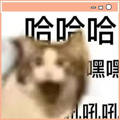 【爆笑】“领导半夜发错果照把所有人都踢了…”啊啊啊这紧急公关不合格！（组图） - 2