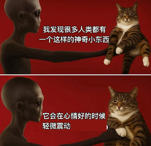 【爆笑】男朋友非要上交工资给我怎么办？网友建议：千万别收啊！（组图） - 32