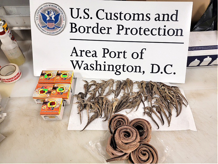 华人注意！美国海关紧急提醒：出入境正严查此类物品，查获恐遭没收及起诉（组图） - 4