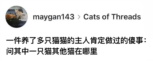 【爆笑】男朋友非要上交工资给我怎么办？网友建议：千万别收啊！（组图） - 27