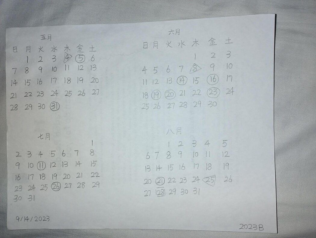 纽时：“走线润美”失败被遣返，他会再次冒险吗（组图） - 5