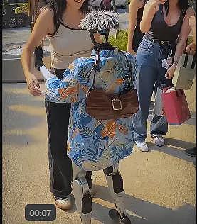 人类要输？机器人保姆会遛狗、送餐、讲PPT，网友：看来我真的要失业了（组图） - 12