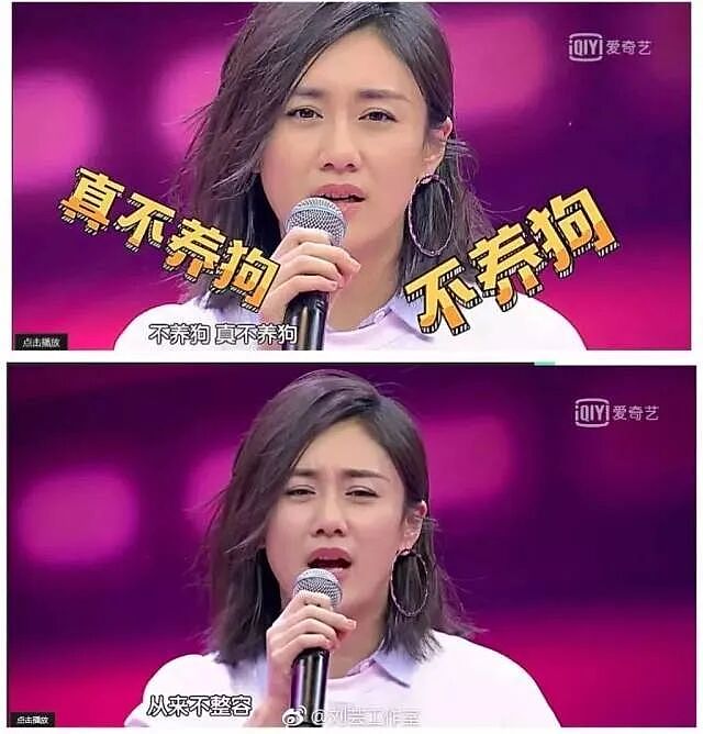 消失的“泰迪姐妹团”，卷土重来？（组图） - 23