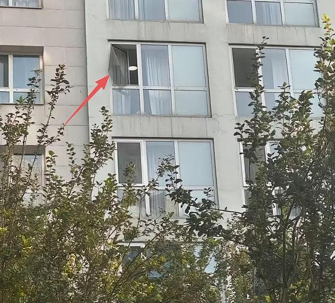 疑似于朦胧助理确认死讯，悲痛发文难以接受，邢菲震惊不敢置信（组图） - 6