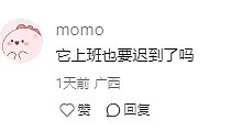 人类要输?机器人保姆会遛狗、送餐、讲PPT,网友:看来我真的要失业了(组图) - 6