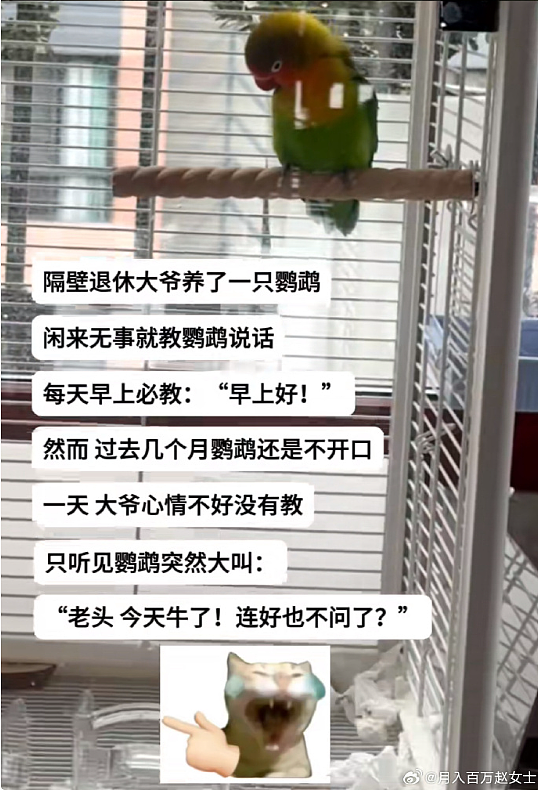 【爆笑】男朋友非要上交工资给我怎么办？网友建议：千万别收啊！（组图） - 28