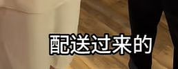 “几乎全是预制菜，还那么贵，太恶心了…”罗永浩发文吐槽，客服回应（组图） - 8