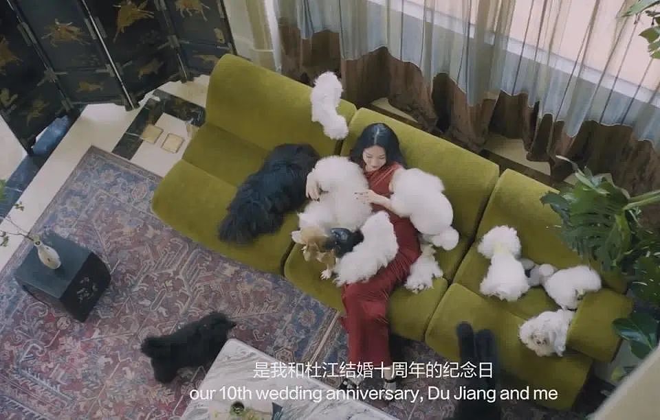 消失的“泰迪姐妹团”，卷土重来？（组图） - 25